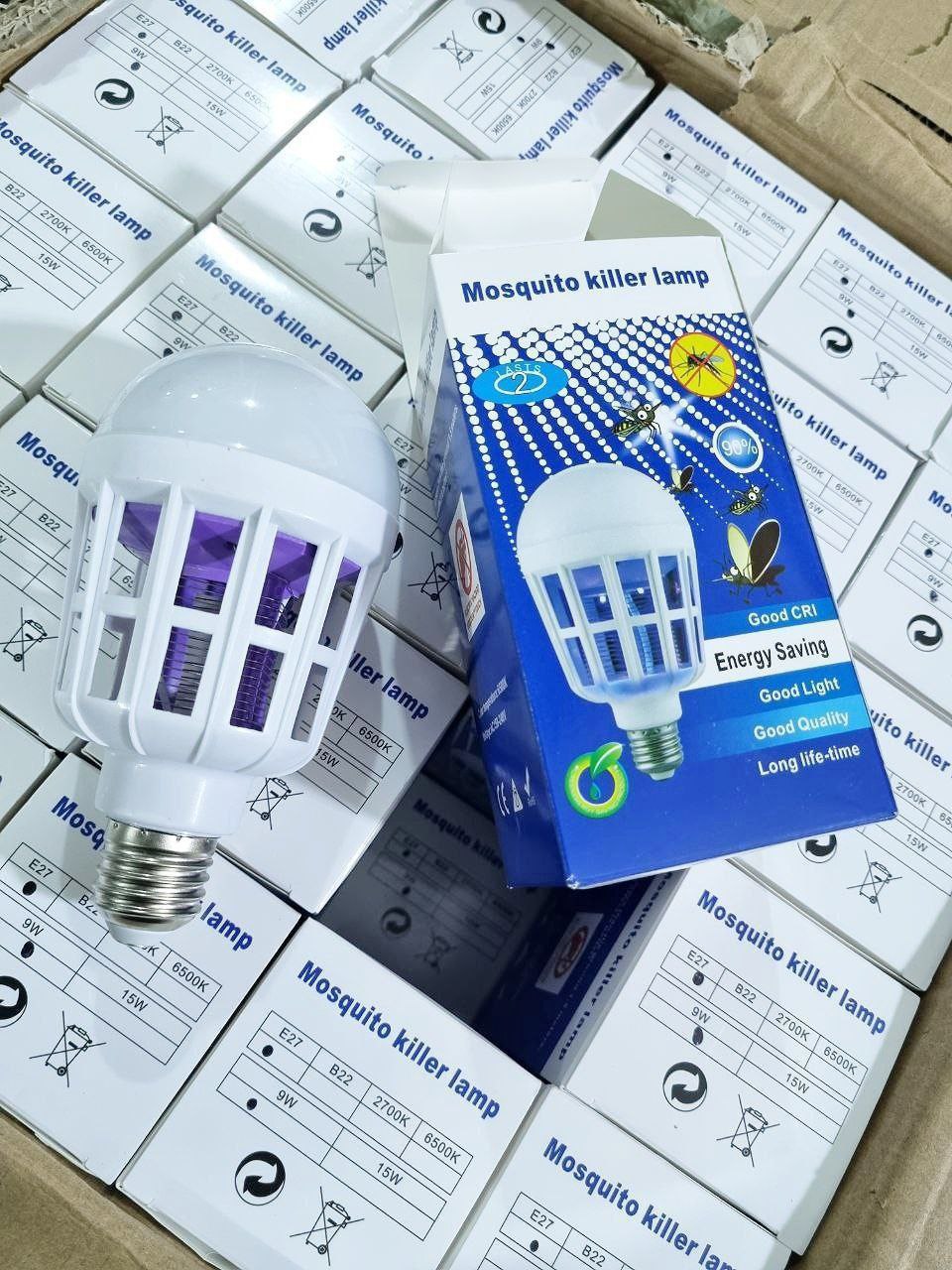 photo_2025-05-29_11-21-43